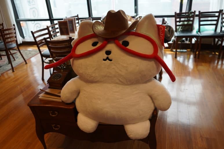 창가 테이블 위에 놓인 모자 쓴 고양이 인형